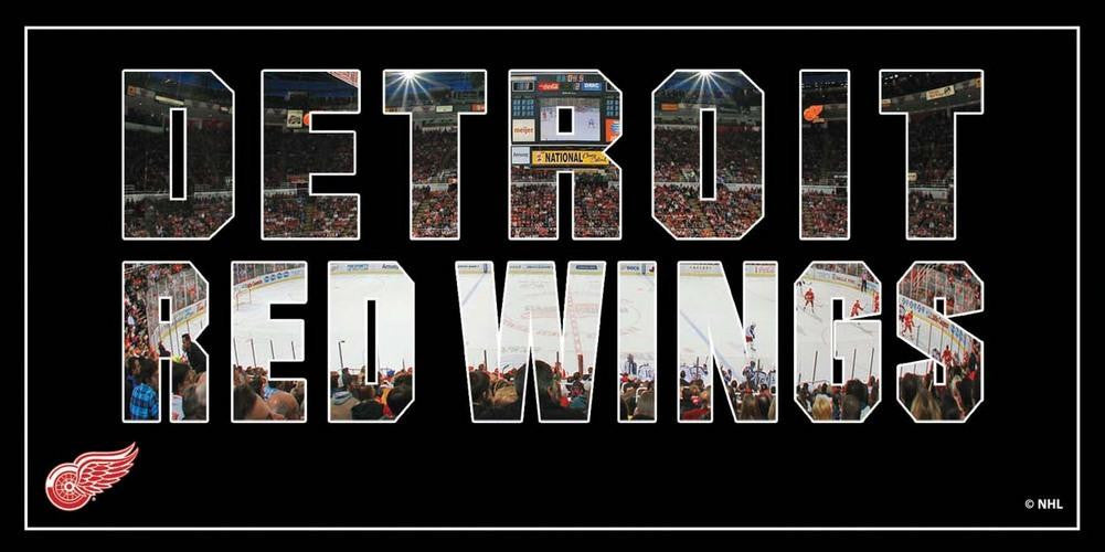 Artissimo Detroit Red Wings Team Pride 36x12 Canvas Art