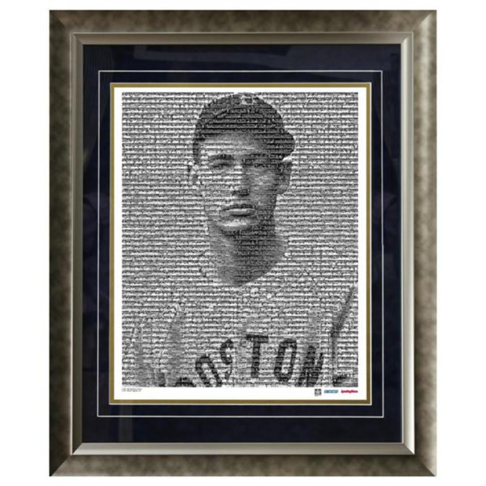 Ted Williams Black And White Mosaic 16x20 Framed Photo