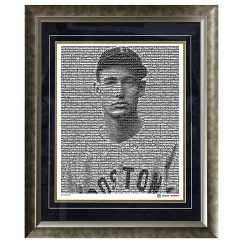 Ted Williams Black And White Mosaic 16x20 Framed Photo