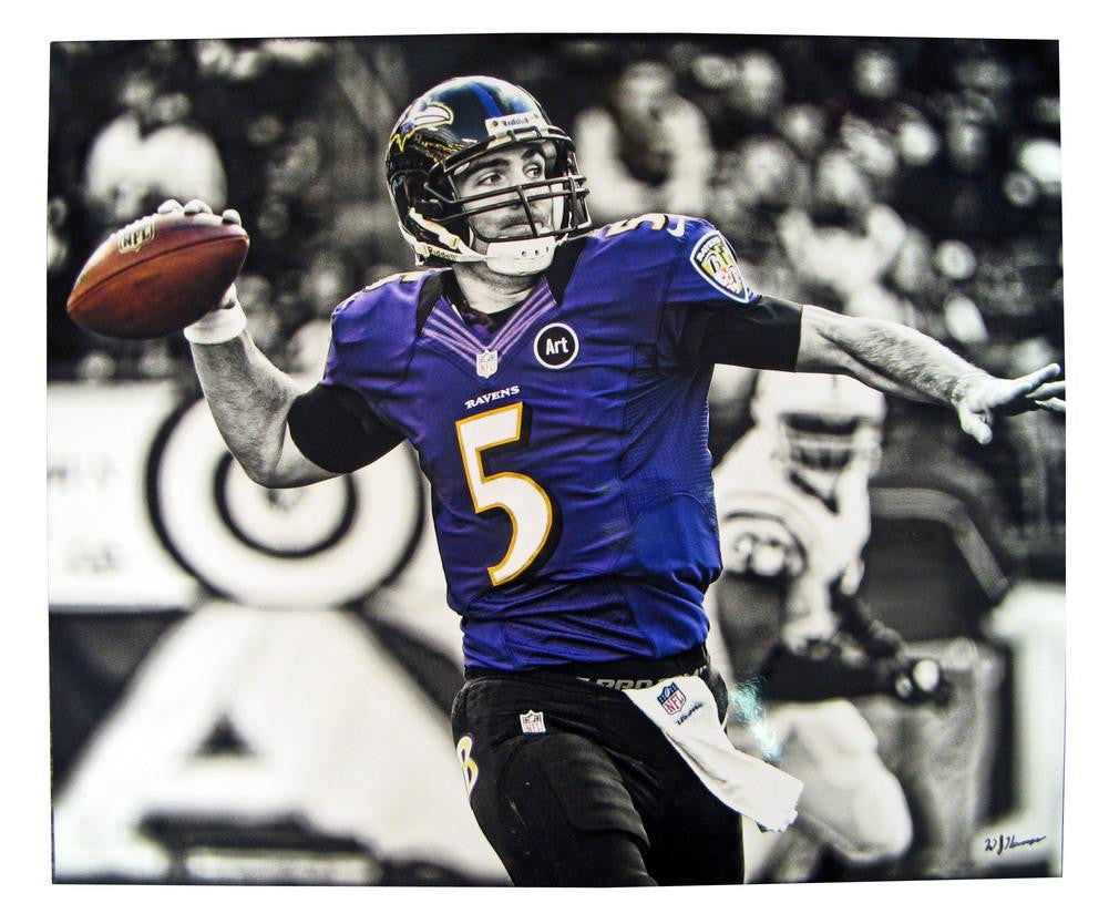 Baltimore Ravens Unframed Joe Flacco 20X24 Action Pose