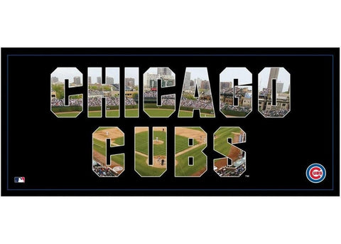 Chicago Cubs Team Pride 12X36 Canvas Art Chicago Cubs