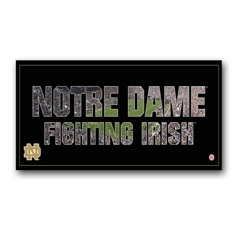 Team Pride NCAA Notre Dame Art 12x26