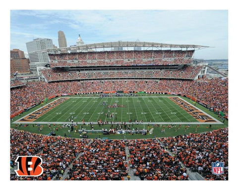 Artissimo Designs NFL Cincinnati Bengals Stadium Canvas Art