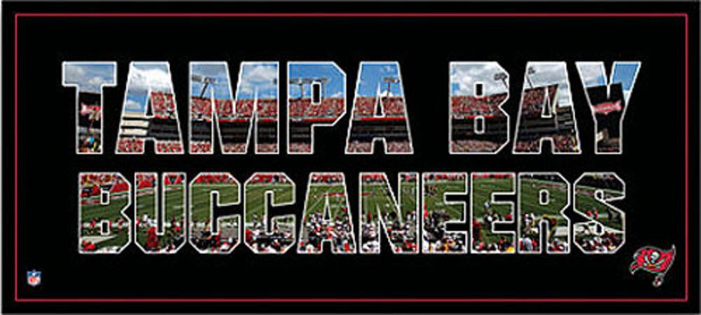 NFL 12x36 Tampa Bay Buccaneers Team Pride Arena Canvas art