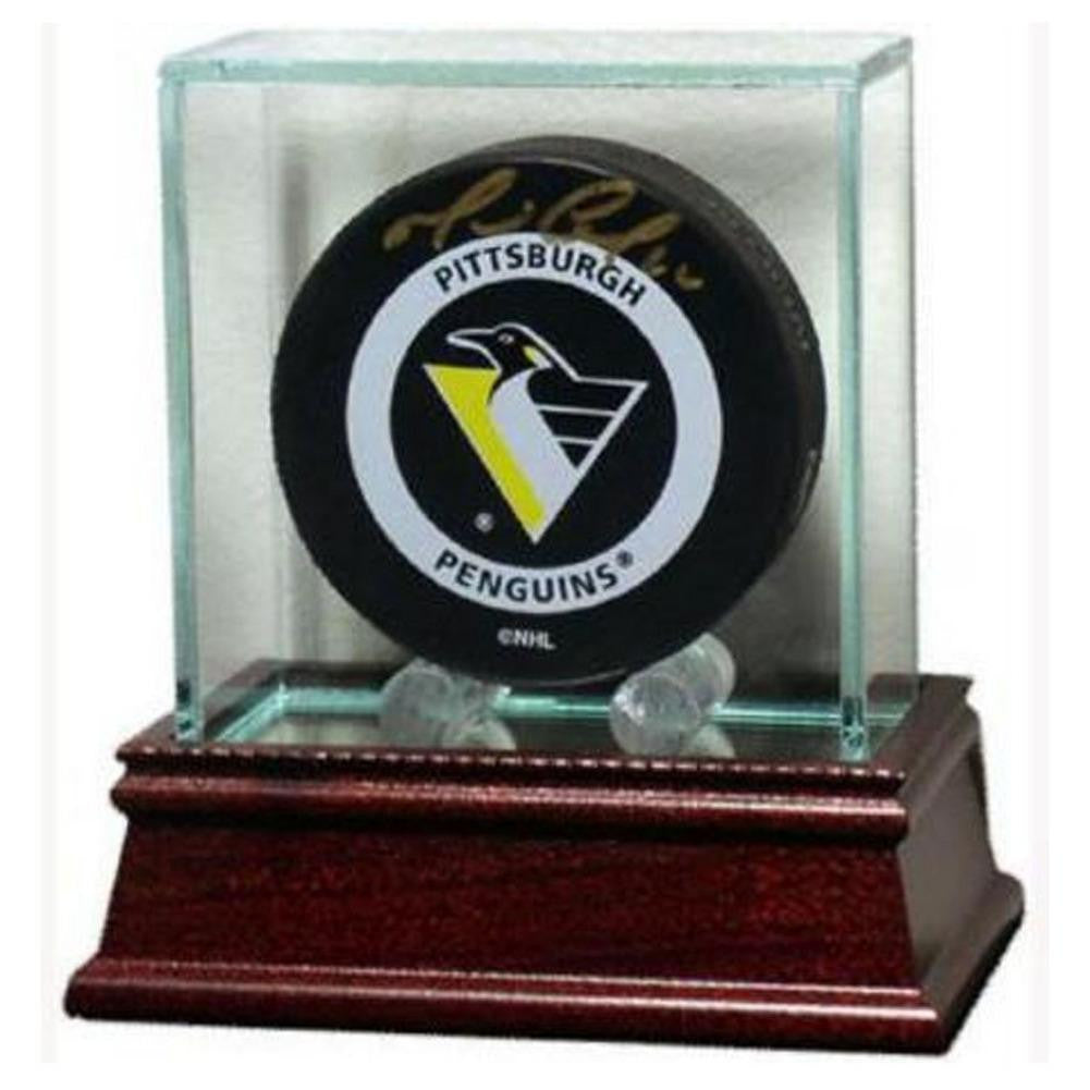 Steiner Glass Puck Display