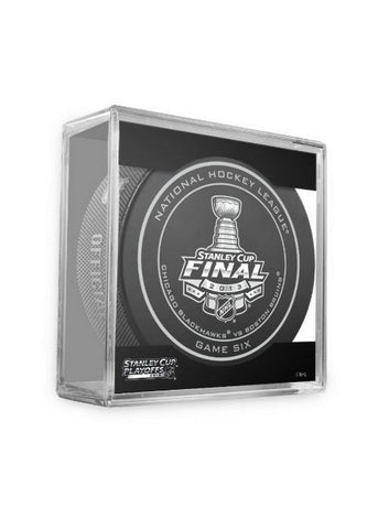 2013 Stanley Cup Puck in Qube